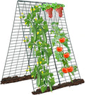 Metal Trellis for Climbing Plants Outdoor Garden Trellis,Cucumber Trellis,Tomato Plant Support/Squash/Zucchini/Sweet Peatrellis,Green Bean/Grape/Vine/Flower Plant Trellis (1pack)