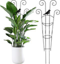 30 in Tall Plant Trellis Indoor,Metal Garden Trellis for Climbing Plants, 2P