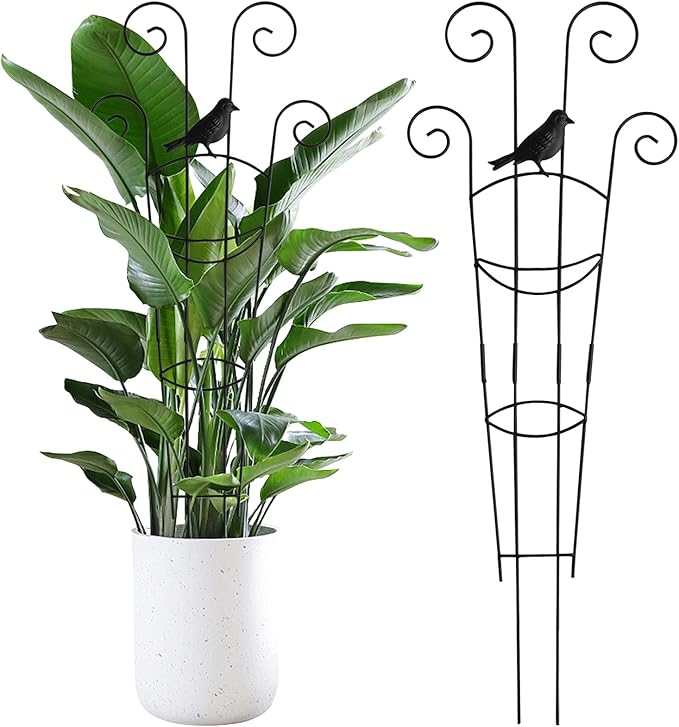 30 in Tall Plant Trellis Indoor,Metal Garden Trellis for Climbing Plants, 2P