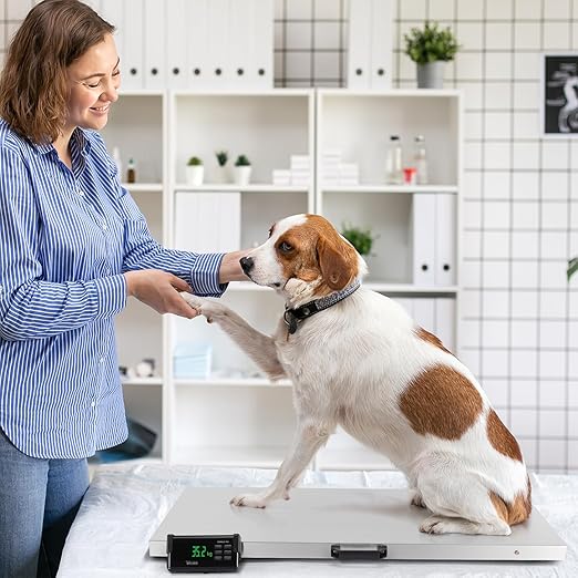 TUFFIOM 1100Lbs x 0.2Lbs Postal Digital Livestock Scale, Electronic Stainless Steel Platform Heavy Duty Vet Animal Scale,Dog Pig Goat Sheep Scale, Silvery