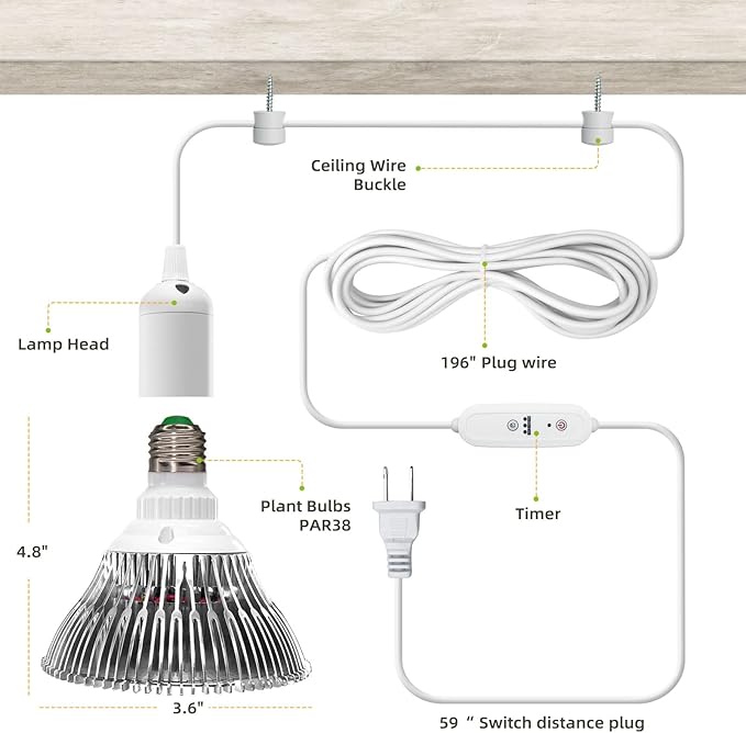 LED Grow Light Bulbs, Hanging Grow Lights for Indoor Plants, 25W 5000K, Height Adjustable Plant Light with Timer, Full Spectrum Grow Light Replace Sunlight for Large Tall Plant, Greenhouse