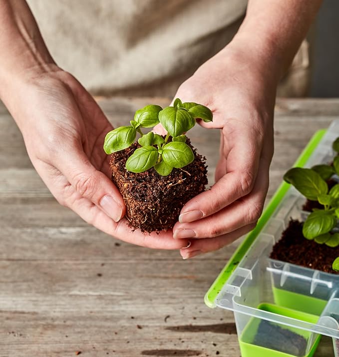 Burpee SuperSeed Starting Tray | 16 XL Cell | Reusable & Dishwasher Safe | for Vegetable, Flower & Herb Seeds | Indoor Grow Kit for Deep-Rooted Seedlings, Green
