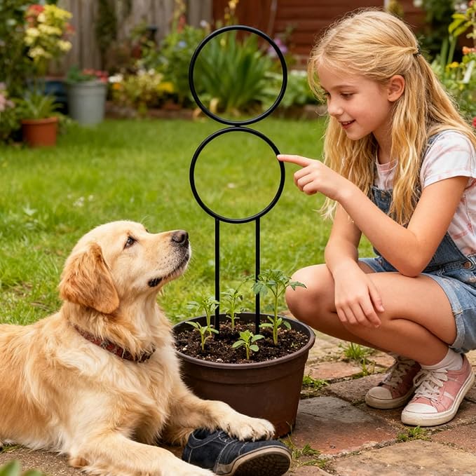 Adjustable Plant Trellis, Metal Support Stake, 24 Inch Frame with Expandable Design, Potted Plant Support, Gardening Accessory with Sturdy Construction, Indoor Outdoor Tool for Flowers Vegetables