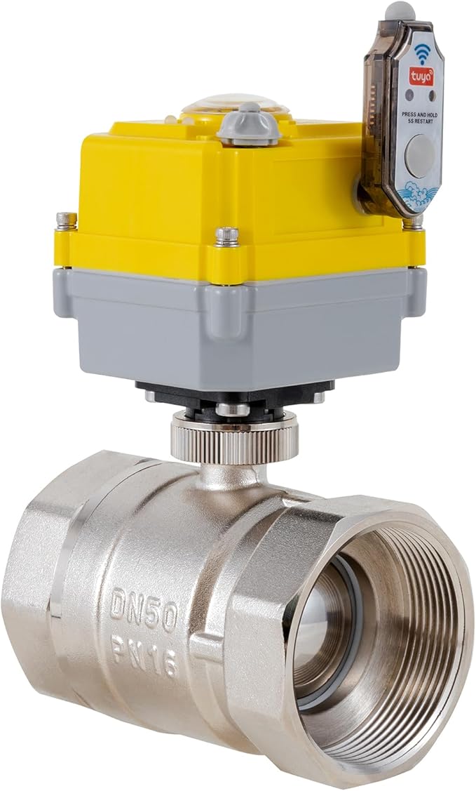 NPT 2'' Electric Ball Valve Intelligent Electric Valve DC24V Actuator/AC110V-230V Power Adapter, TUYA-APP WIFI Control Valve With Indicator and Manual Device 2-wire Automatic Return, Normally Closed