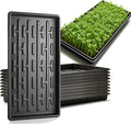 RooTrimmer Shallow 1020 Nursery Flat Trays Specialized for Holding & Carrying 200 Cell Plug Seedling Trays (Height is 1.3"),Microgreen Germination Trays,10 Pack, No Holes (YB01, 10Pcs)