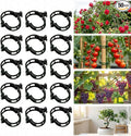 50 pcs Plant Support Clips, Reusable Plastic Garden Clips for Climbing Plants, Trellis Clips for Tomato, Grape Vine and Vegetable Plant Fixing (50, Black)