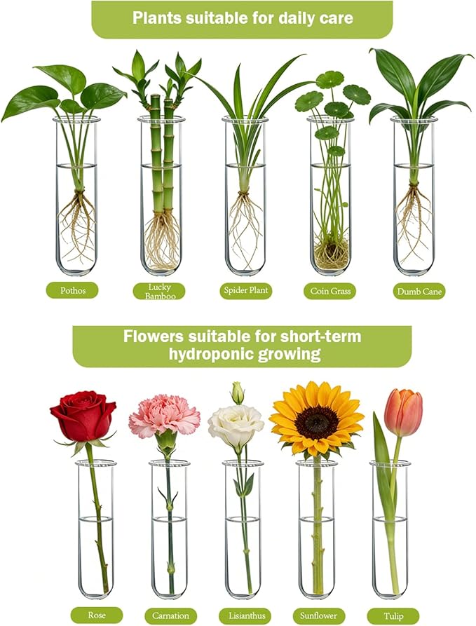 XXXFLOWER Wall Hanging Propagation Station with Wooden Stand Glass Test Tubes Tiered Planters Wall Terrarium for Home Office Plant Hanger Flower Vases Wall Decor Hydroponic Cuttings (9 Tube Vases)
