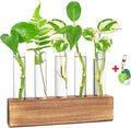 KAXYEW Plant Propagation Station, Plants Propagation Tubes, Gifts for Plant Lovers, Plants Cutting Holder Test Tube Vase Office Desk Garden Décor Gift for Her Mom Women Hydroponic Vase New Gift Box
