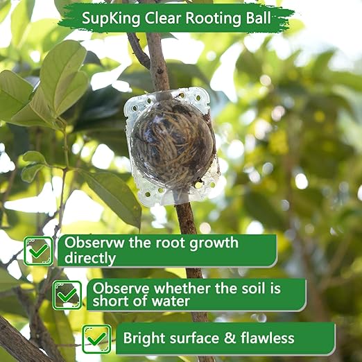 Supking 8 Pcs Air Layering Pods Plant Rooting Grow Propagation Ball Small Transparent Assisted Cutting Rooting Grafting Device Root Box for Plants