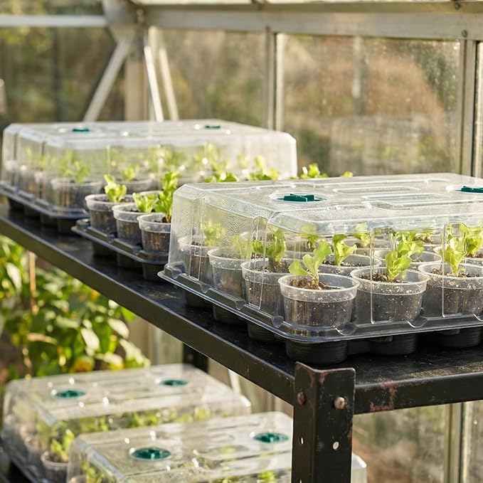 homenote 3 Inch Seed Starting Trays with Humidity Domes for Plants, 4 Pack 20-Cell Seedling Starter Trays, Plant Starter Germination Trays for Pots Seedlings for Indoor,3" Opening Compatible Pots
