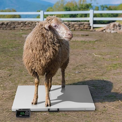 TUFFIOM 1100Lbs x 0.2Lbs Postal Digital Livestock Scale, Electronic Stainless Steel Platform Heavy Duty Vet Animal Scale,Dog Pig Goat Sheep Scale, Silvery