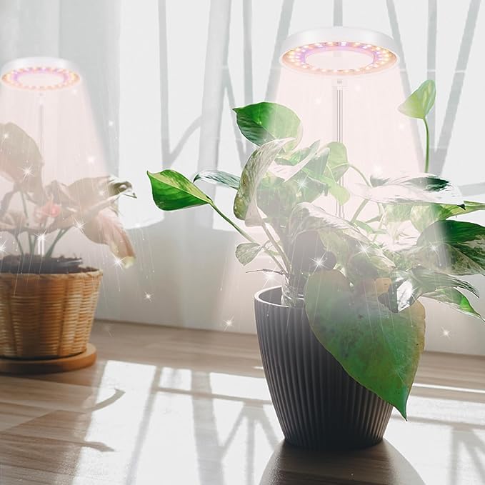 GooingTop LED Grow Light, Halo Plant Growing Lamp for Indoor Plants Growth, Full Spectrum Low Light for Small Plants,Timer 4/8/12/18 Hrs & Variable Spectrum White Red Blue,3 Pack