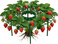 Garden Plant Trellis - Heavy-Duty Gardening Support Stand,Garden Support Strawberry Plant Tray Outdoor Patio Orchard Balcony Gardening Vegetable Flower Vine