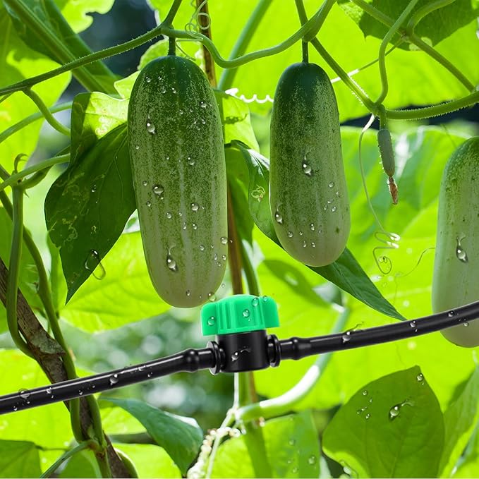 50 Pcs 1/4 Inch Barbed Shut off Valve Drip Irrigation Tubing Coupling Valve Universal Drip Irrigation for 1/4" Tubing Greenhouses Flowers Beds Lawns Farmland(Green,Barbed Shut off Valve)
