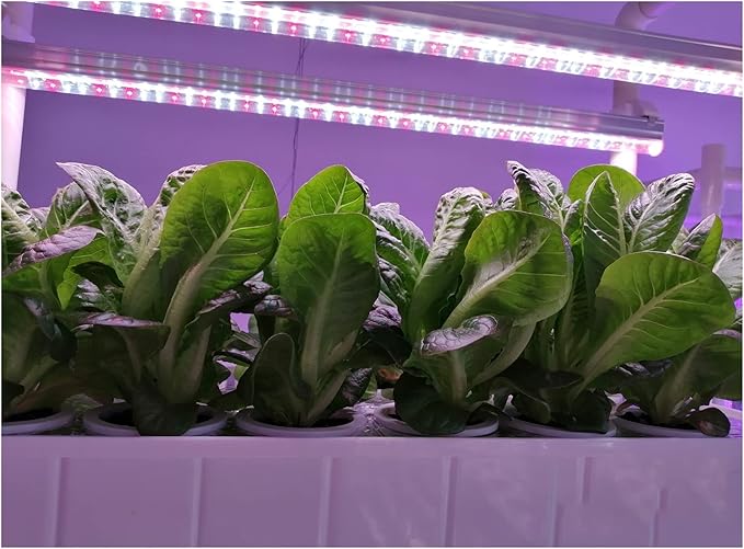 Hydroponic Equipment Hydroponics Growing System Indoor Smart Herb Vertical Garden Kit Automatic LED Grow Lights Planter for Home Kitchen Indoor Garden