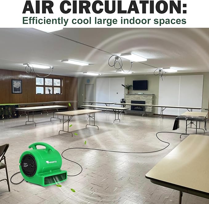 MOUNTO 1/4hp 1000CFM 2 Speed Air Mover Carpet Dryer Floor Fan Cooling Fan (Green)