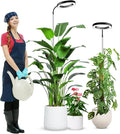 wolezek Grow Lights for Indoor Plants Full Spectrum, 80 LEDs 3 Colors Grow Light, 65in Plant Lights for Indoor Growing with 360°Gooseneck, 6/12/16H Timer, 5 Brightness, Height Adjustable, Black Pair