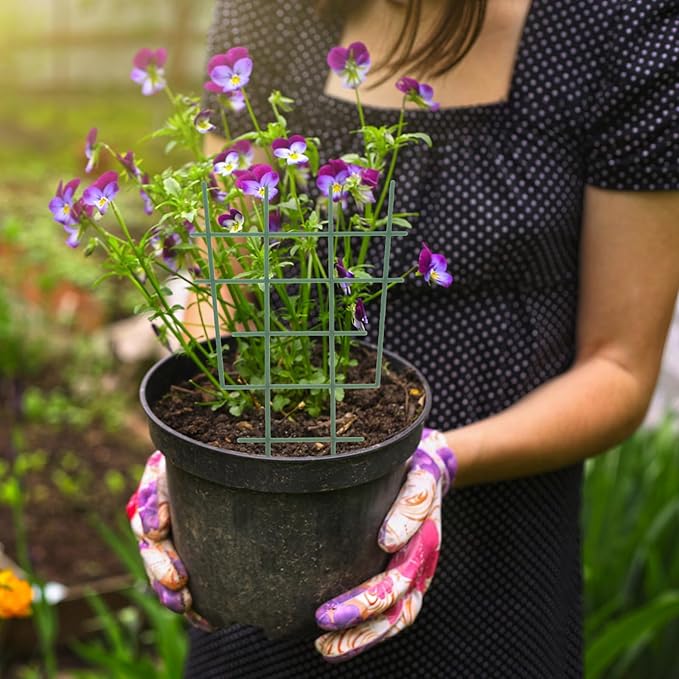 Plant Climbing Support Trellis with 6 Plastic Frames and 10 Leaf Ties Garden Stake for Climbing Vine Plants Indoor and Outdoor