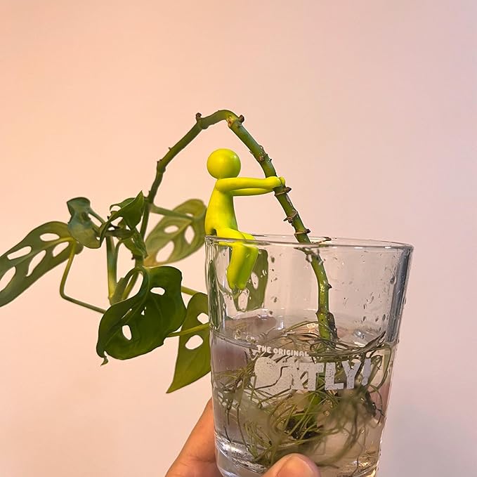6PCS Plant Propagation Buddy – Cute Plant Supports for Buds, Stems & Cuttings – Indoor Gardening Propagation Station Accessories – Fun & Practical Gift for Plant Lovers, Easter & Holidays