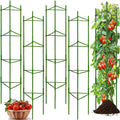 Moirsunt 66Inch Tall Tomato Cage for Garden, 4Pack Plant Support Heavy-Duty Garden Stakes, Tomato Trellis for Potted Plants, Height Adjustable Tomato Cage Trellis for Climbing Plants Flowers