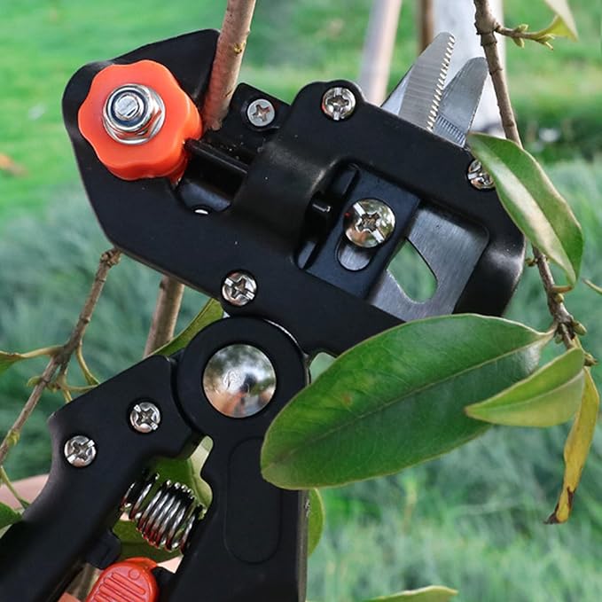 Premium Garden Grafting Shears Professional Grade Pruning Tool with 3 Interchangeable Blades for Fruit Tree Grafting and Plant Propagation (10113A Cloth Bag)