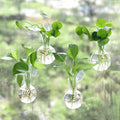 Bunmery 4 pcs Window Propagation Stations, Easy to Install Plant Propagation Bulbs with Suckion Cups, No Nails Wall Hanging Planter Propagation Station, Glass Plant Terrarium Vase
