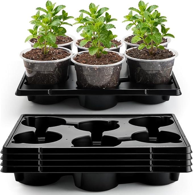 RooTrimmer 30 Pack 6 Inch Clear Nursery Pots and 5 Pack 6 Cell Round Plant Pot Trays, Sturdy Seeds Starting Germination Shuttle Carrying Trays, Planter Nursery Propagation 5 Sets