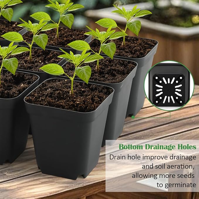RooTrimmer 3.15 inch (8CM) Square Nursery Pots 100 pcs, Sturdy Seedlings Trays 5 Pcs, Seeds Starter Germination Tray, Microgreening Planter Nursery Propagation 5 Sets