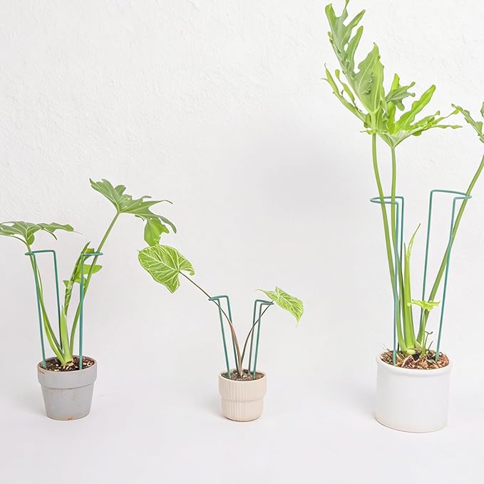 Indoor Plant Trellis Set of 10 - Durable Iron Plant Supports for Monstera and Climbing Plants, Perfect for Indoor & Outdoor Use, U-Shape Design for Garden Decor and Ideal Gift for Plant Lovers