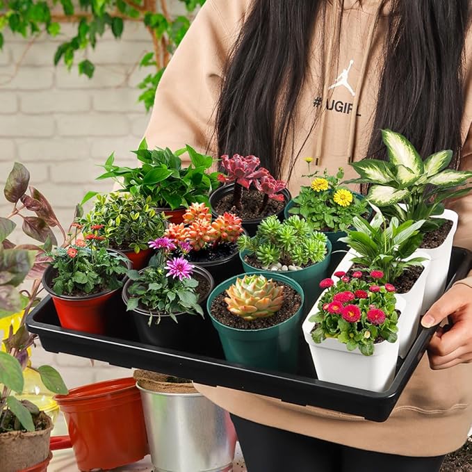 RooTrimmer 10 Pack Nursery Pots Trays (17"x11"x2"), Plastic Flat Seed Starter Trays, Durable Carrying Seedling Starter Tray, Reusable Tray for Planting and Collecting Drainage Water (Black)