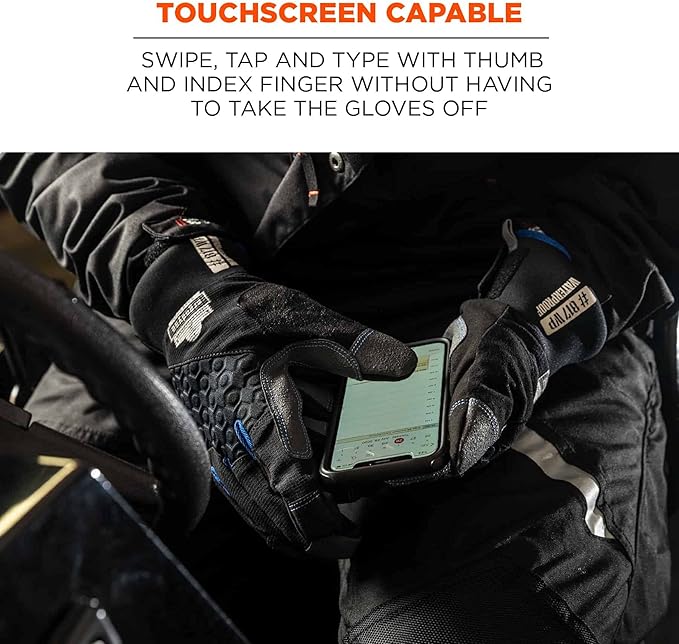 Ergodyne ProFlex 817WP Waterproof Work Gloves, Thermal Insulated, Touchscreen, Reinforced Palms Black, Medium