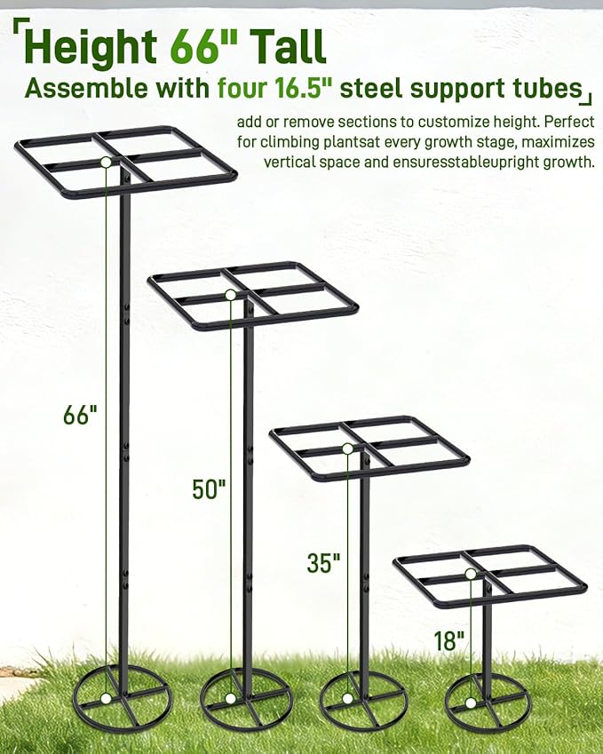 2 Pack 66''×16'' Heavy-Duty Metal Dragon Fruit Trellis, Adjustable Gardening Support Stand for Vertical Climing Plants,Trees,Cactus Garden Outdoor Indoor Potted Support