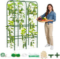 62" Tall Cucumber Trellis for Raised Bed, Garden Trellis for Climbing Plants Outdoor, U-Shape Metal Arch Vegetables Trellis Plant Support for Zucchini Squash Vines