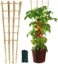 SWANGSA 6 Pack 4Ft Bamboo Trellis for Climbing Plants, Fan-Shaped Garden Ladder Trellis with 100pcs Twist Ties for Outdoor and Indoor Plant Support, Potted Plants, Cucumber, Tomato, Vine