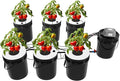 6 Bucket Hydroponic System Kit, Dwc Hydroponic System Kit with Drip Irrigation, 5.28Gal Capacity, 6.6Gal/Min Air Pump, Includes Air Pump Ideal for Vegetables and Indoor Growing