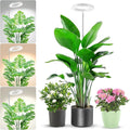 Aokrean Grow Light, 80 LEDs Full Spectrum Plant Light for Indoor Plants, Height Adjustable 10"-65" Growing Lamp with Auto Timer for 6/12/16Hrs,3 Optional Spectrums,5 Brightness, 1 Pack