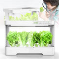 Hydroponics Growing System,20W LED Grow Light + Automatic Timer + 4L Water Tank, Hydroponic Growing Kits - Intelligent Growing System, Smart Garden GYL24824