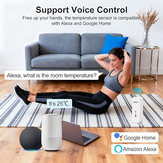 WiFi Temperature Humidity Sensor, Wireless Indoor Thermometer Hygrometer with App Alert, Free Data Storage Export, Smart Temperature Humidity Monitor for Home Bedroom, Compatible with Alexa (2-Pack)