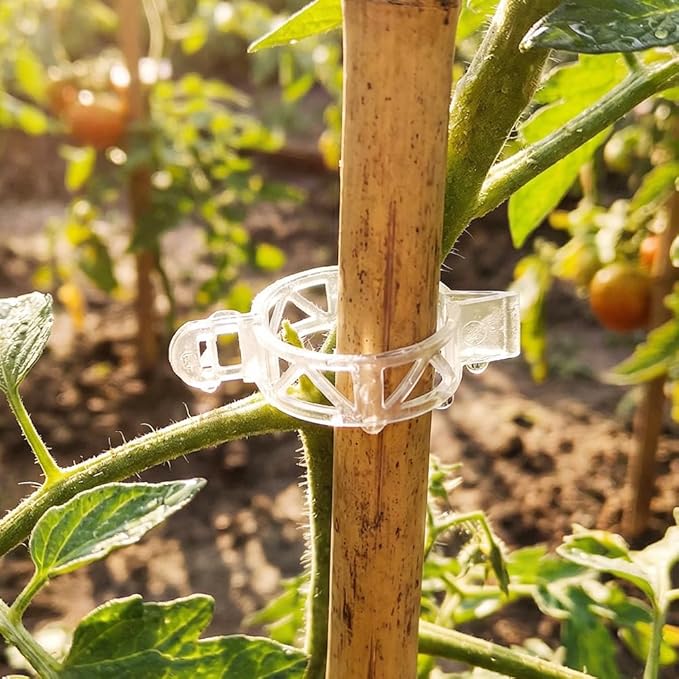 Plant Support Clips Reusable Garden Clips, Tomato Support Clips for String Trellis for Climbing Plants Outdoor Indoor Plant Flowers Stem Vine Fixing Clips (200 PCS)