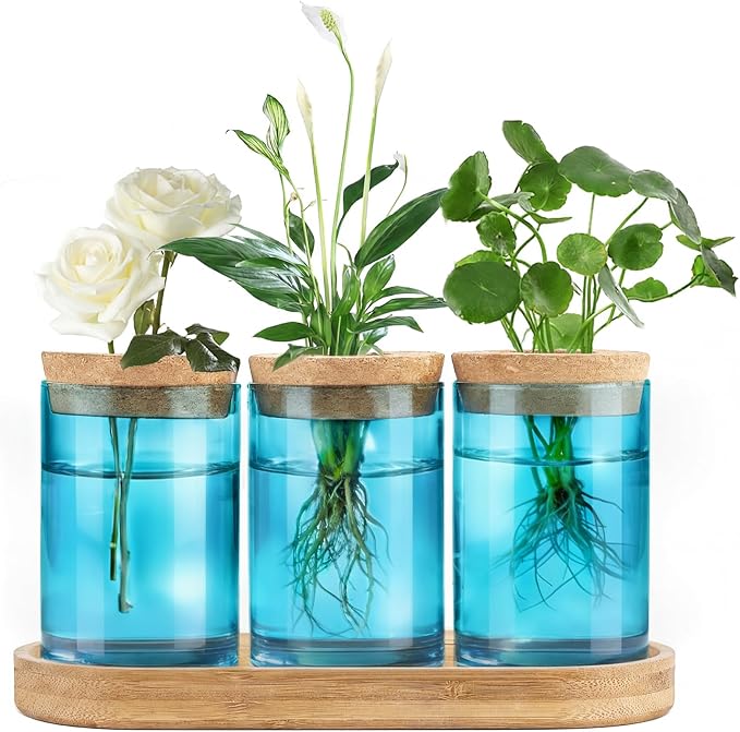 Dahey Blue Plant Propagation Terrarium Desktop Glass Planter Station Water Planting Glass Vase with Lid and Wooden Stand for Propagating Hydroponic Plants Centerpiece Office Home Garden Decor, 3 Pcs