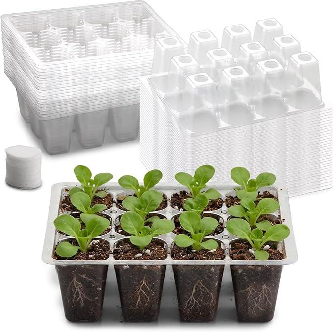 RooTrimmer 60 Pack Reusable 12-Cell Clear Seed Starter Trays - Extra Large Drainage Holes, Easy to Repotted, Clear Transparent Tray for Root Observation, Seed Starting, Fits Standard 1020 Trays