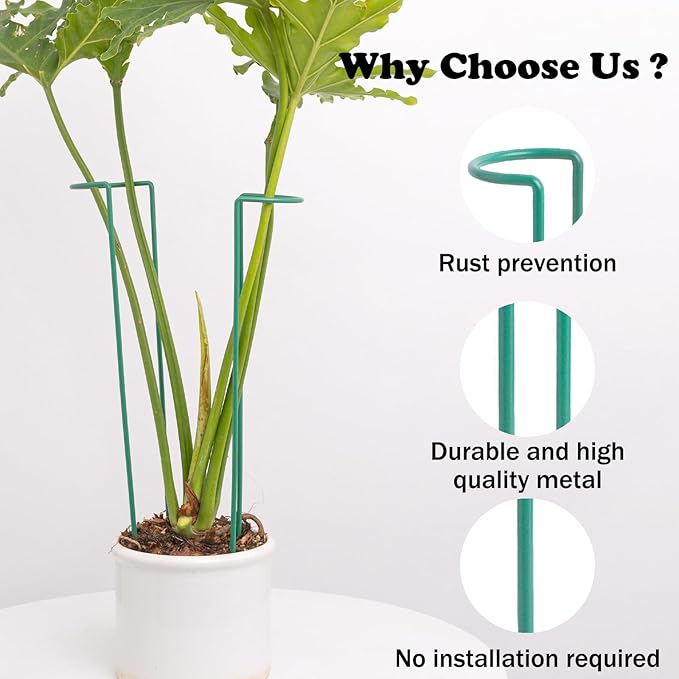 10 Pack Monstera Support Indoor Plant Support Stakes for Large Plants and Climbing Vines | Plant Supports for Outdoor and Indoor Use | Ideal Garden Flower Stem Holder Trellis for Plant Lovers