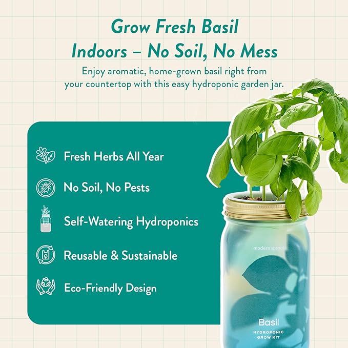 Modern Sprout Mason Garden Jar+Replant Kit -Self-Watering Hydroponics Growing System Kit w/Organic Herb Seeds -Sprouting Jar Planter for Indoor Herb Garden - Seed Starter -Gift for Mother's Day -Basil