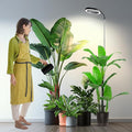 Garpsen Grow Lights for Indoor Plants, Full Spectrum 65'' Plant Light with Gooseneck, 3 Colors Modes and 5 Dimmable Levels, 6/12/16H Timer, 80 LED Height Adjustable Grow Lamp for Plants(Soil Insert)