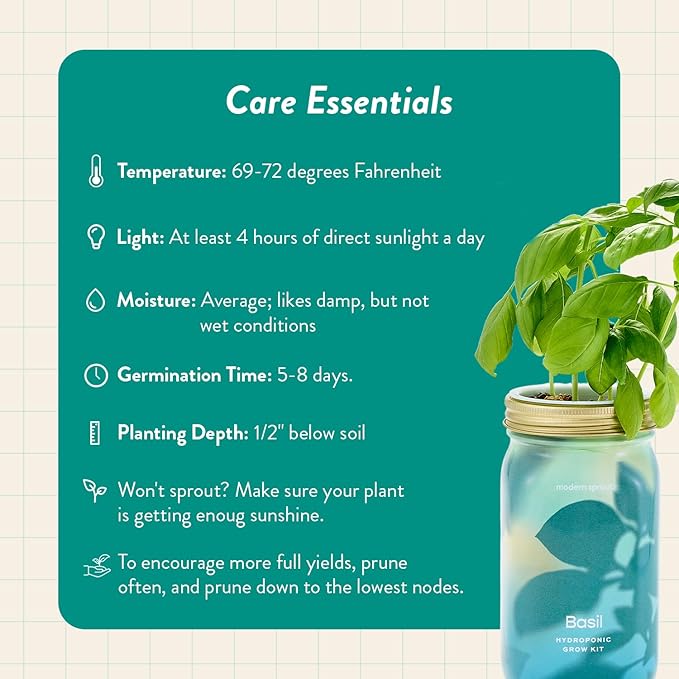 Modern Sprout Mason Garden Jar+Replant Kit -Self-Watering Hydroponics Growing System Kit w/Organic Herb Seeds -Sprouting Jar Planter for Indoor Herb Garden - Seed Starter -Gift for Mother's Day -Basil