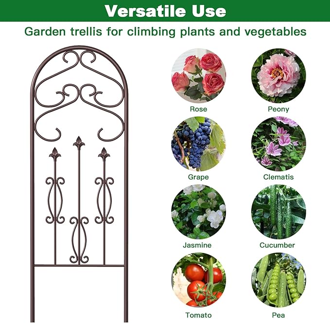 AMAGABELI GARDEN & HOME 2 Pack 60" x 18" Garden Trellis for Climbing Plants Outdoor Rustproof Metal Trellis for Potted Plants and Roses Vines Vegetables Flowers Ivy Cucumbers Clematis Supports Bronze