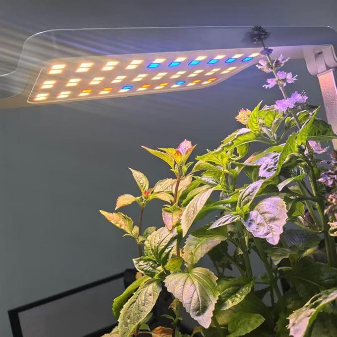 12 Pods Indoor Garden Hydroponics Growing System,24W LED Grow Light,6.5L Water Tank,Pump System,Automatic Timer Smart Vegeable and Fruit Grow Garden Kit,White