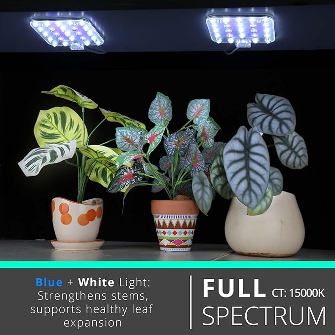 DOMMIA Full Spectrum LED Grow Light for Indoor Plants, 2 Panels 10W with 6/12/16h Timer Dimmable Plant Lights for Flower Veg Plant Growth USB, Bluish White, 2-Pack