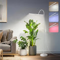 3CCT Grow Lights for Indoor Plants, 168 Full Spectrum LED Plant Light for Indoor Growing with 180° Expandable Lamp Head, 4/8/12H, Dimmable, 67in Tall Adjustable Standing Grow Light with 360° Gooseneck