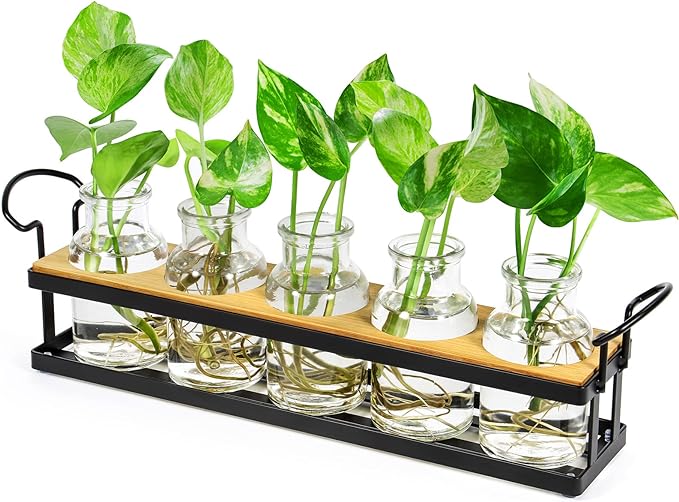 THYGIFTREE Plant Propagation Stations with Metal Stand, Tabletop Plant Terrarium for Propagating Hydroponic, Retro Glass Planter Flower Vase Home Kitchen Office Decor Gifts, 5 Jars